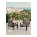 Mygusi Modern Balkon, Bahçe, Cafe, Metal Koltuk, Kanepe Tekli - Cappucino