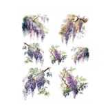 MyHobby Sulu Transfer Kağıdı Lnt-135 25x35 Cm