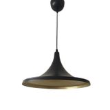 Mylights 37 Cm Mat Siyah İçi Altın Metal Sarkıt Rustik Avize Retro Tekli