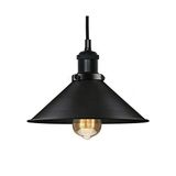Mylights Retro Rustik Metal Sarkıt Avize Mat Siyah 30 Cm En