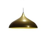 Mylights Retrom Rustik Metal Sarkıt Avize Mat Altın 45Cm En