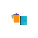 Mynote Ayraçlı Defter Separatörlü Defter 4+1 (4 Kareli,1çizgili) A4 -150 Yp - Spralli Plastik Kpk - Kırmızı B
