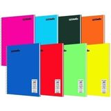 Mynote Flex Neo 60 Yaprak A4 Pp Kapak Spiralli Defter (2 Adet Çizgili- 2 Adet Kareli)