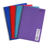 Mynote Flex Neon A4 Defter 96 Yaprak 2 Kareli 2 Çizgili Defter Seti