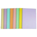 Mynote Flex Pastel 40 Yaprak A4 Pp Kapak Spiralli Defter (2 Adet Çizgili- 2 Adet Kareli)