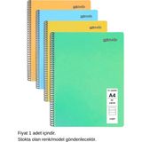 Mynote Flex Pastel Defter A4 60 Yaprak Çizgili 1 Adet - 001-Renkli