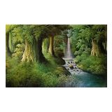 Mysterious Forest