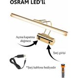 Mystery Osram LED Flüt Şarjlı Pilli Koridor Günışığı Ledli Tablo Kuğu Duvar Aplik Şarjlı Pilli - beyazışık(6500) - Altın
