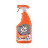 Mythriva Mr Muscle Advanced Power Virüs Etkili Lavanta Kokulu Mutfak Spreyi 750 ml - Ahşap - Bej