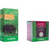 Mythriva Tr Onarım Çim Tohumu 1 kg - Genel Bakım Çim Gübresi 1 kg - Çim Onarım Paketi