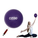 Myween Egzersiz Topu Küçük, 15,24 cm Pompalı Pilates için Çekirdek Topu, 15,24 cm Barre Topu, 15,24 cm Denge Topu Mini Yoga Topu Kadınlar için Egzersiz Fitness Fiziksel Terapi PT, Mor