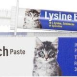 N-ACTİVE Lysine Ech Paste ( Immune Health ) 30 ml Pasta