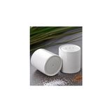 Nacario 2 Li Porselen Tuzluk Biberlik 100ML