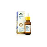 Nacario Arifoğlu Yasemin Yağı 20ML; Arifoğlu Jasmine Oil 20ML.