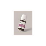 Nacario Astera Saf Tamanu Yağı 10 ml