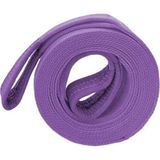 Nacario BADEM10 Yük Kaldırma Taşıma Indirme Araç Çekme Halat Sapan Polyester Spanzet Lila Renk 1 Ton 6 Metre Sağlam