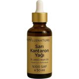 Nacario Cilt ve Saç Bakım Yağı, Soğuk Sıkım Kantaron Yağı (St. John's Wort Oil), %100 Saf ve Doğal, Nemlendirici ve Besleyici, 50 ml