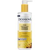 Nacario Dickinson's Orijinal Cadı Hazel Gözenek Mükemmelleştirici Yüz Temizleyici, 12 Fl Oz, Normal Ila Yağlı Ciltler Için, Fazla Yağı Çıkarır, Gözenekleri Arıtır ve Temizler, Alkolsüz Yüz Yıkama