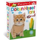 Nacario Dokun Hisset Tanı Eğitim Kartları, Zeka Kartları