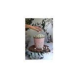 Nacario Evle-Metal Popcorn Kutusu - Patlamış Mısır Kovası 13.5 Cm, Botanica (Botanica Pink)