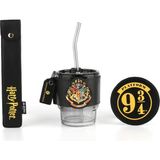 Nacario Harry Potter Lisanslı Cam Bardak Seti - 390 ml