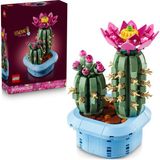 Nacario LEGO Botanicals Çiçekli Kaktüs 11509 - Tam Çiçek Açmış Büyük Kaktüs ve Tomurcuklara Sahip Küçük Kaktüs Içeren Sevgililer Günü'ne Özel Çiçek Yapım Seti (482 Parça)