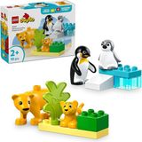 Nacario LEGO Duplo Town Vahşi Hayvan Aileleri: Penguenler ve Aslanlar 10442-2 Yaş ve Üzeri Çocuklar Için Eğitici ve Yaratıcı Oyuncak Yapım Seti (10 Parça)