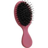 Nacario Mini Seyahat Saç Fırçası, Kız Kadın, Erkek Erkek Çocuk, Küçük Dolaşık Açıcı Kayın Ağacı Saç Fırçası, Islak Kuru Tüm Saç Tipleri Için, Kolay Düğümler ile Gözyaşı Veya Kırılma Olmadan Dolaşık Olun