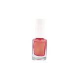 Nacario Oje Seti, No 113 (Pembe) + 603 (Gri) ve Hızlı Kurutucu Parlatıcı Cila, 11 ml - Çok Renkli