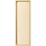 Nacario Paslanmaz Çelik, Dikdörtgen Sunum Tepsisi, Gold, 33X13 Cm, Düz, Çay, Kahve, Pasta Sunum, 1 Adet