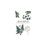 Nacario Plants Sketchbook For School, Work, Home: Esthetic Hardcover, Premium White Pages, Big Size. Perfect For Drawing, Writing.