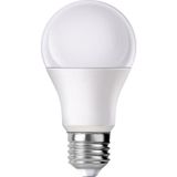 Nacario Powermaster Pm-29496 E27 12 Volt 10 Watt 6500K Yerli Üretim Beyaz Led Ampul