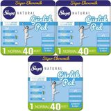 Nacario Sleepy Natural Günlük Ped Normal 40X3 120 Adet