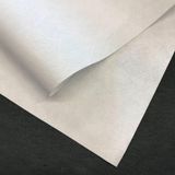 Nacario Temizlik Bezi, Cam ve Ayna Silme Iz Birakmaz. Miflon Mikrofiber Bez Sentetik Güderi Bez Mikrofiber Temizlik Bezleri Sihirli Mikrofiber Temizlik Bezi Ev Mutfak Araba Motosiklet Pencereler 40X60 cm