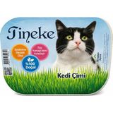 Nacario TİNEKE%100 Doğal Fileli Kedi Çimi (Tüy Yumağı Önleyici)
