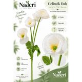 Naderi Çiçeği Naderi Çiçek 4’lü Yapay Gelincik Dalı Beyaz 60 cm Yapraklı Dekoratif Çiçek Demeti Ev Ofis Aranjmanı