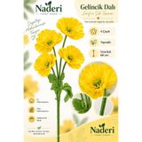Naderi Çiçeği Naderi Çiçek 4’lü Yapay Gelincik Dalı Sarı 60 cm Yapraklı Dekoratif Çiçek Demeti Ev Ofis Aranjmanı