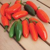 Nadir Ata Tohum Çok Acı Gialla Jalapeno Biber Tohumu (10 Tohum)