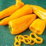 Nadir Ata Tohum Geleneksel Acı Yellow Jalapeno Biber Tohumu (10 Tohum)
