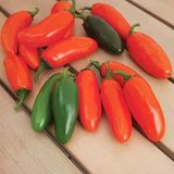 Nadir Doğal Çok Acı Gialla Jalapeno Biber Tohumu (10 Tohum)