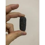 Nadir İthal Mini Siyah Mısır Tohumu Ekim Seti 3 Tohum Saksı Toprak Kombin