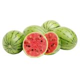 Nadir İthal Minyatür Karpuz Tohumu 3 Adet Tohum Baby Watermelon