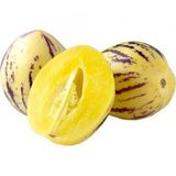 Nadir İthal Pepino Meyvesi Tohumu Ekim Seti 5 Tohum Pepino Tohumu Saksı Toprak Kombin