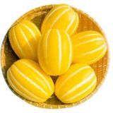 Nadir Kore Kavunu Tohumu Ekim Seti Kavun Tohumu 5 Tohum Saksı Toprak Kombin