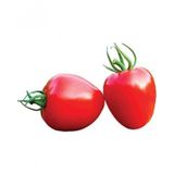 Nadir Tomatoberry Çilek Domatesi Ekim Seti Çilek Domates Tohumu 10 Tohum Saksı Toprak Kombin