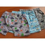 Namaldı Erkek Çocuk Desenli 3 Lü Boxer 4-6 Yaş