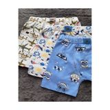 Namaldı Erkek Çocuk Desenli 3'lü Boxer, Mavi Beyaz, 2-4 Yaş