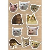 Namgo Şapşal Kediler 10'lu Laptop Notebook Tablet Sticker Seti
