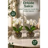 Nandy Home 2'li Set Küçük Boy Orkide Saksı Seti Şeffaf Orkide Saksısı Alt Tablalı Saksı - 2 Adet