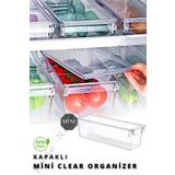Nandy Home KAPAKLI MİNİ Tall Clear Buzdolabı & Dolap İçi Düzenleyici Organizer